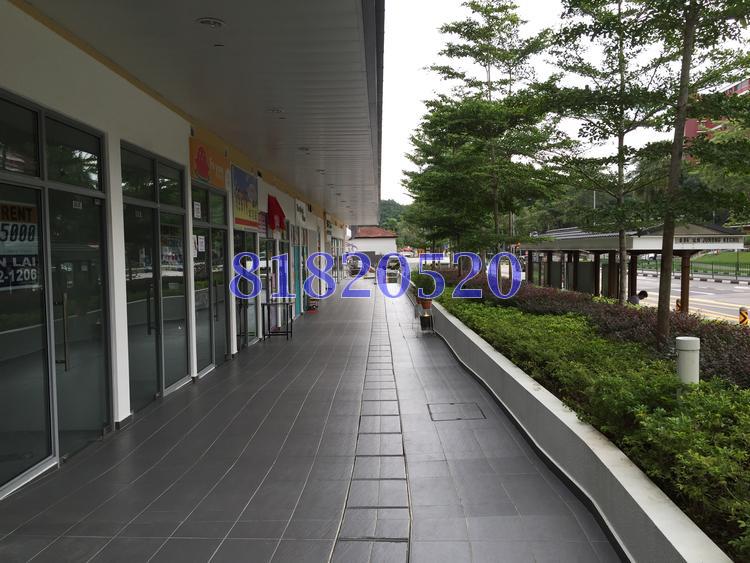 SUITES AT BUKIT TIMAH thumbnail photo